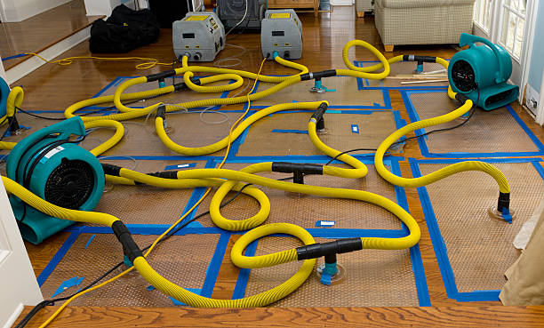 Professional Crawl Space Water Removal technician working in Bangor, PA